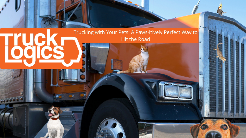 trucking with a dog